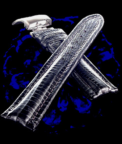Metalic Lizard イメージ画像